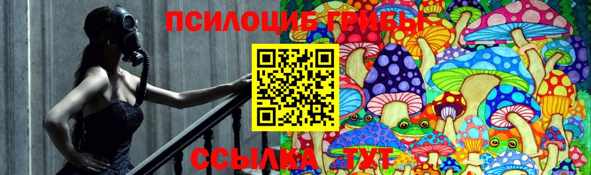 Псилоцибиновые грибы Psilocybe  Галлюциногенные грибы прущие грибы  Вход с VPN  Обнинск 